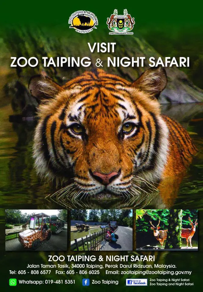 zoo-taiping-night-safari-cover